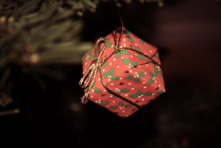 Copyright@Ninni Undén || Är det redan jul snart?