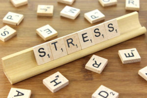 Stress, stress och ännu mer stress